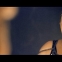 Dj F.R.A.N.K & Jessy – Salvation (Official Music Video) (HQ) (HD)